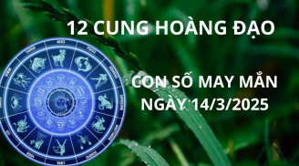 Tử vi ngày 14/3 con số may mắn mang vàng gánh bạc cho 12 cung hoàng đạo trúng nhà ai nhà đó giàu