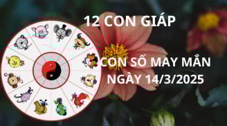 Tử vi ngày 14/3 con số may mắn Thần tài ban lộc cho 12 con giáp gặp thời đổi vận giàu sang