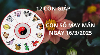 Tử vi ngày 16/3 con số may mắn cho 12 con giáp được thời hốt vàng nhặt bạc nhà trời về nhà