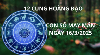 Tử vi ngày 16/3 con số may mắn số vàng tài lộc cho 12 cung hoàng đạo
