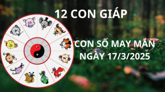Tử vi ngày 17/3, con số may mắn Thần tài nhả lộc cho 12 con giáp nhận vàng nhận bạc giàu sang