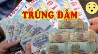 90 ngày liên tiếp: 3 tuổi cá Chép hóa Rồng, Đắc Tài Đắc Lộc, nhất là tuổi số 2 giàu sụ