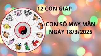 Tử vi ngày 18/3 con số may mắn nhờ lộc Tổ tiên cho 12 con giáp cơ hội trúng lớn đổi đời