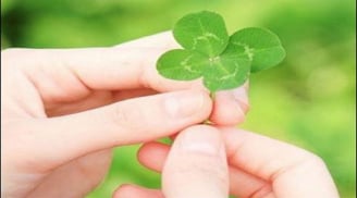 4 dấu hiệu là điềm báo may mắn đang đến gần với bạn, hãy nắm lấy