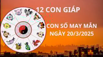 Tử vi ngày 20/3, con số may mắn Thần tài xả lộc cho 12 con giáp gặp cơ hội giàu sang