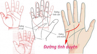Dựa vào những dấu hiệu này trong lòng bàn tay, phụ nữ sẽ biết tương lai mình như thế nào