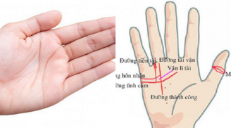 Nhìn bàn tay 3 giây, nếu có 1 trong 9 đường vân tay này là người nhiều tiền lắm của