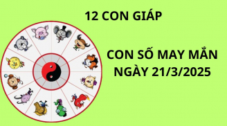 Tử vi ngày 21/3 con số may mắn số vàng tài lộc cho 12 con giáp gặp vận giàu sang bất ngờ