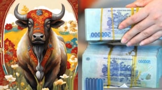 Mở mắt gặp quý nhân: 3 con giáp Sa Chân Chĩnh Vàng, số 2 gom sạch tiền thiên hạ