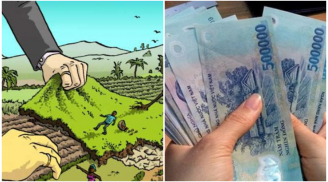 Năm 2025: 5 trường hợp bị thu hồi đất nông nghiệp những không được đền bù, đó là trường hợp nào?