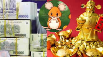 Chủ nhật vàng rơi vào đầu, 3 con giáp Hỷ sự rợp trời, tha hồ mà gánh lộc