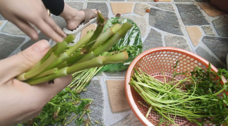 2 loại rau chứa cả 'ổ sán', cái số 1 nhiều người Việt hay ăn