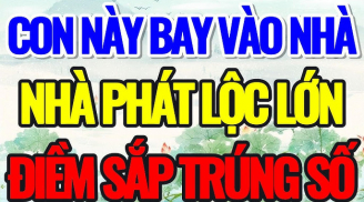 3 loài vật đệ tử Thần Tài: Bước vào nhà đó nhà đó cực kỳ giàu có, đó là loài vật gì?