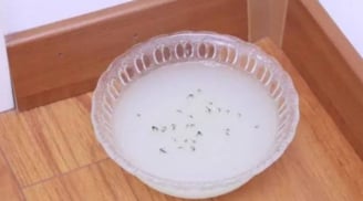 Pha nước với thứ này, muỗi nhiều mấy cũng bay biến hết, tự nhiên lại an toàn