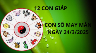 Tử vi ngày 24/3 con số may mắn cho 12 con giáp cơ hội hốt vàng gánh bạc về nhà