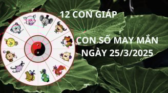 Tử vi ngày 25/3 con số may mắn Thần tài nhả lộc cho 12 con giáp cơ hội thành công giàu có