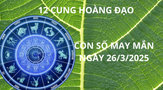 Con số may mắn ngày 26/3, cung hoàng đạo nào sẽ tốt số nhặt vàng hốt bạc trong hôm nay?