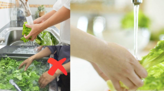Tại sao nhiều người không còn ngâm rau nước muối nữa? Đây mới là cách mà người nội trợ đảm ngày nay áp dụng