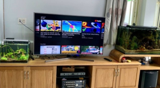 5 điều cần tránh khi đặt TV ở phòng khách kẻo tài lộc bay biến hết