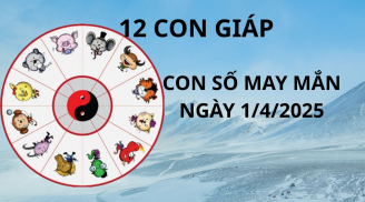 Tử vi ngày 1/4 con số may mắn chứa lộc Thần tài tặng cho 12 con giáp, nhanh chân giàu ú ụ