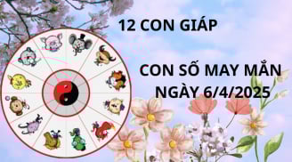 Tử vi ngày 6/4, con số may mắn Thần tài ban vàng phát bạc cho 12 con giáp, ai may mắn nhất hôm nay?