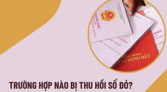 Từ nay tới 31/12/2025: 6 trường hợp Sổ đỏ đã cấp sẽ bị thu hồi, người dân nên biết sớm