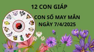 Tử vi ngày 7/4 con số may mắn dành tặng 12 con giáp, ai may mắn trúng vàng trúng bạc gặp thời giàu sang