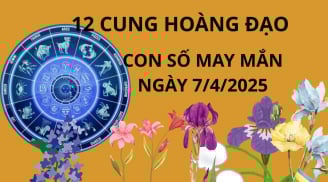 Tử vi ngày 7/4 con số may mắn nào giúp cung hoàng đạo nắm vàng giữ bạc trong hôm nay?