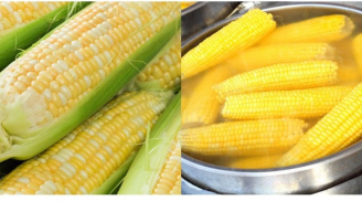 Luộc ngô đừng chỉ bỏ nước, bỏ thêm thứ này ngô ngon, ngọt, dẻo mềm không nhạt vị