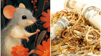 Số Đỏ Như Son: 3 tuổi hết Tam Tai, chẳng cần bon chen tiền cũng về tay 3 năm tới, nhất tuổi thứ 2