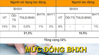 Mới nhất: Bảng tra cứu mức lương hưu theo thời gian đóng BHXH