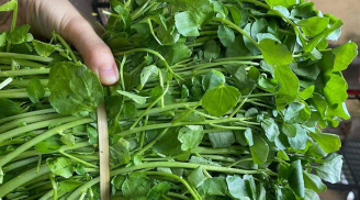 3 loại rau người Việt yêu thích nhưng cực kỳ dễ nhiễm 'sán', loại số 1 đặc biệt nguy hiểm