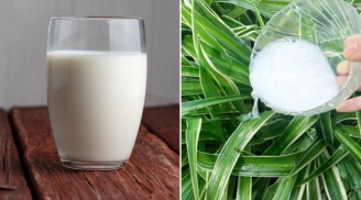 Sữa tươi hết hạn có 4 công dụng đặc biệt: Đổ đi là lãng phí, giữ lại dùng giúp tiết kiệm nhiều tiền