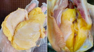 Con gà có một bộ phận đặc biệt thơm ngon, giàu dưỡng chất nhưng nhiều người đem bỏ đi