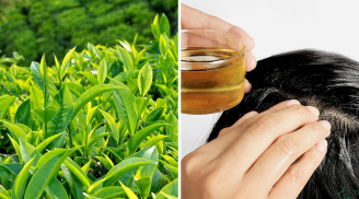 Loại lá bán đầy chợ Việt kích mọc tóc, giảm rụng tóc: Đem nấu nước gội đầu tóc con mọc tua tủa