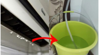 Nước điều hòa chảy ra vội vàng đổ đi là dại: 5 công dụng tuyệt vời nhiều người không hay biết