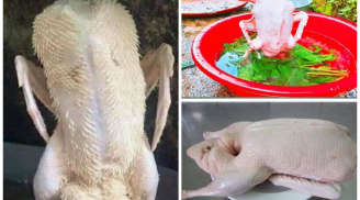 Vò nát nắm là này rồi thả vào chậu: Nhổ hết sạch lông măng, khử cả mùi hôi thịt vịt
