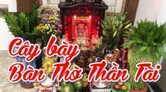 Loài cây đặt ban thờ khiến ông Thần Tài ưng ý, cây ra hoa là Tiền -Tài đang đến