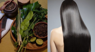 Đun nắm lá này để gội đầu, tóc suôn mượt xanh đen, tóc con lên tua tủa