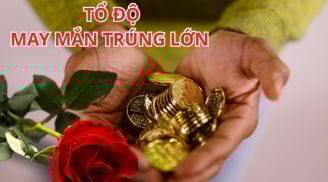 3 Con Giáp Gặp Đại Vận Giàu Sang cuối năm Ất Tỵ 2025: Làm ăn Trúng lớn, Tiền tài rủng rỉnh