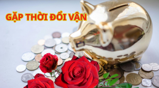 60 ngày liên tiếp: 3 con giáp Tình Tiền Song Hỷ, đón cơ hội 'vàng' Rước Tài Hái Lộc, Giàu Phước Giàu Tiền