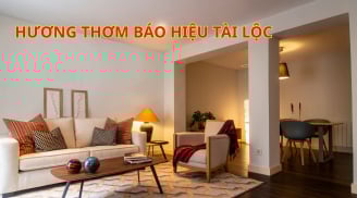 Vượng Khí Sinh Tài: Nhà có 3 hương thơm này con cháu vinh hiển, gia đình hưng thịnh giàu có. Nhà bạn có không?