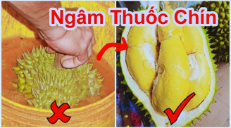 Cách phân biệt sầu riêng chín cây và sầu riêng nhúng thuốc cực đơn giản