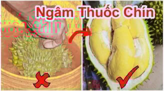 Cách phân biệt sầu riêng chín cây và sầu riêng nhúng thuốc: Cứ nhìn điểm này sẽ rõ