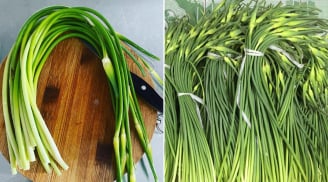 5 loại rau củ sạch tươi ngon, không chứa thuốc trừ sâu