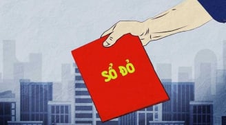 6 trường hợp bị thu hồi Sổ Đỏ trong năm 2025