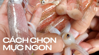 Mẹo chọn mực tươi ngon săn chắc