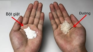 Trộn đường trắng với bột giặt đem rắc quanh nhà, hiệu quả 'vàng mười' ai cũng thích
