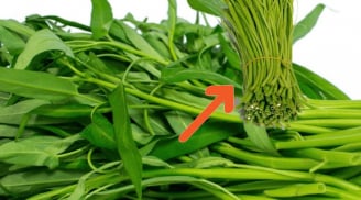 2 cách chế biến cọng rau muống già cực ngon, lạ miệng đổi bữa cho gia đình, đừng vứt bỏ mà lãng phí