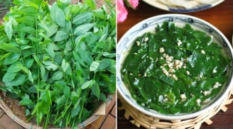 Rau ngót ngon - bổ - rẻ nhưng có 5 nhóm người không nên ăn
